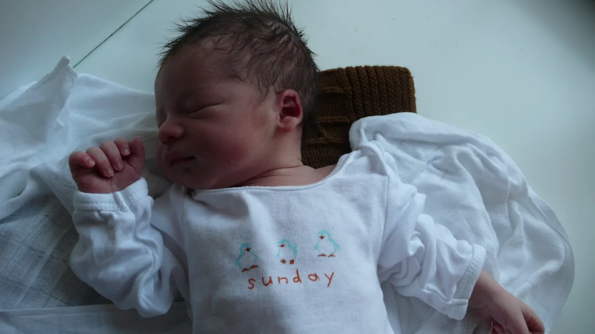 Zino Salomonowitz, born on 14 January 2007