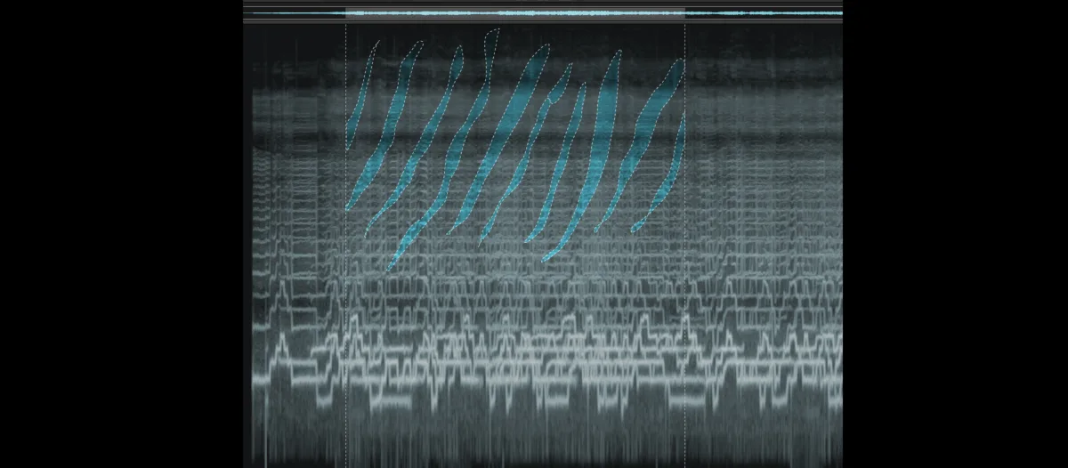 „Light Matter“: Screenshot von Siegfried Friedrich (Musik), 2018