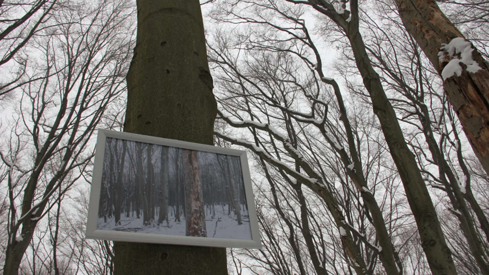 “14/16, on-site research”, Max Kropitz, Zahra Shahabi: “Where it came from”, photo: Moritz Resl