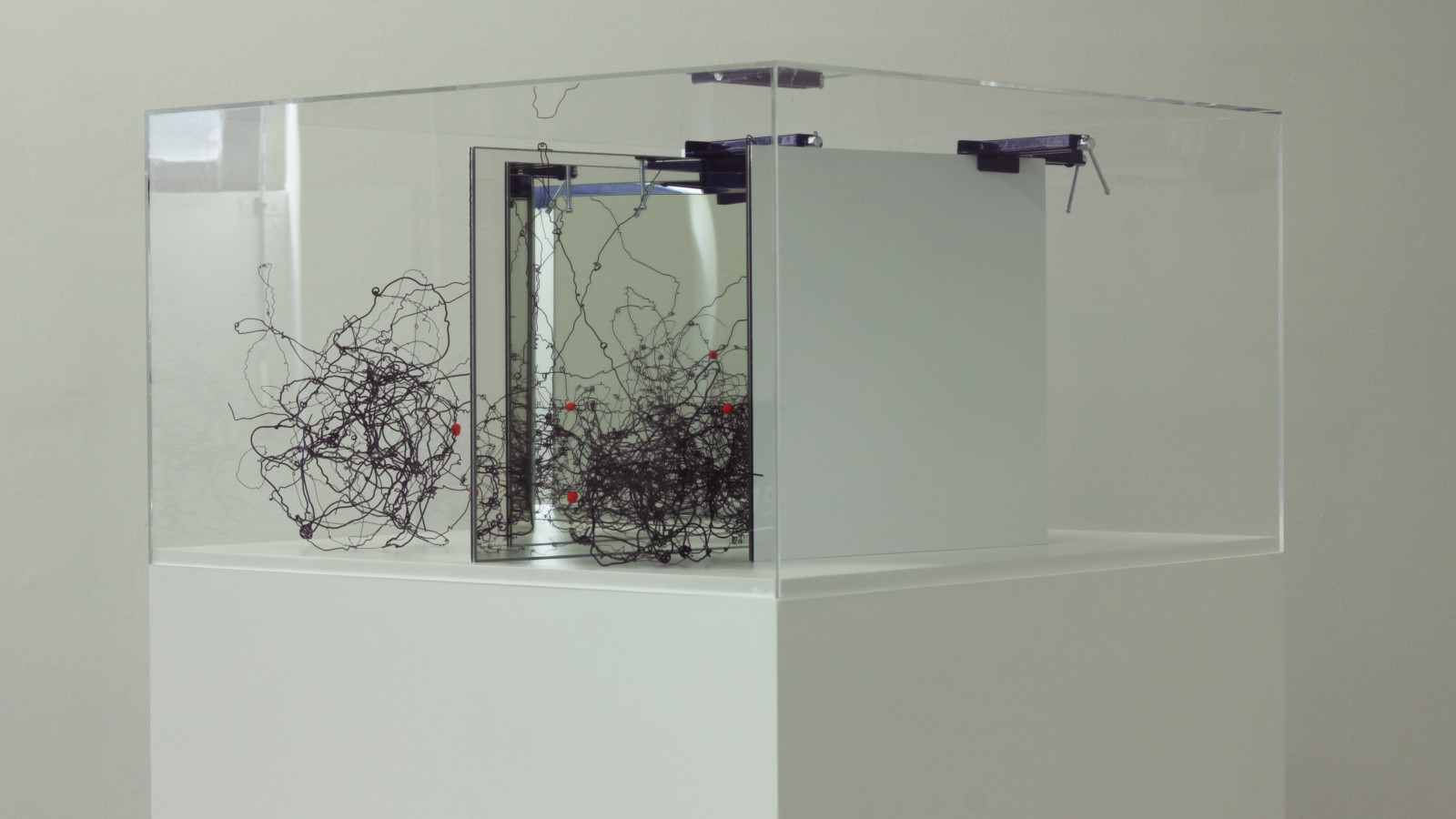 “Circuit Training”, “reality” by Denise Schellmann, 2017, photo: Virgil Widrich