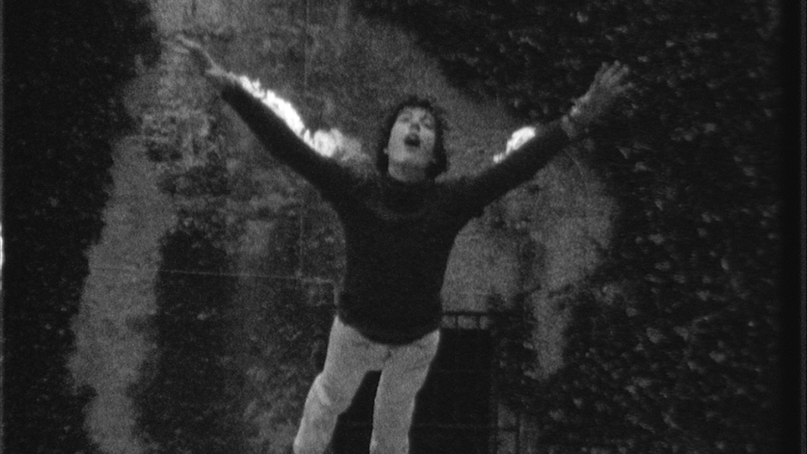 „Monster in Salzburg“, Standbild, 1982
