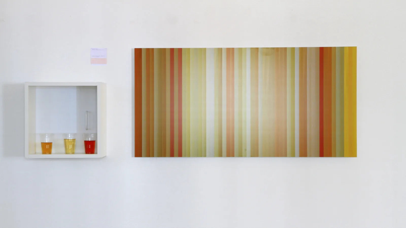 “Parameter{world} - parameters for every or no thing”, Brigitte Zwick: “Excretor vs. Non-Excretor”, 2011. Foto: Sabina Teichert