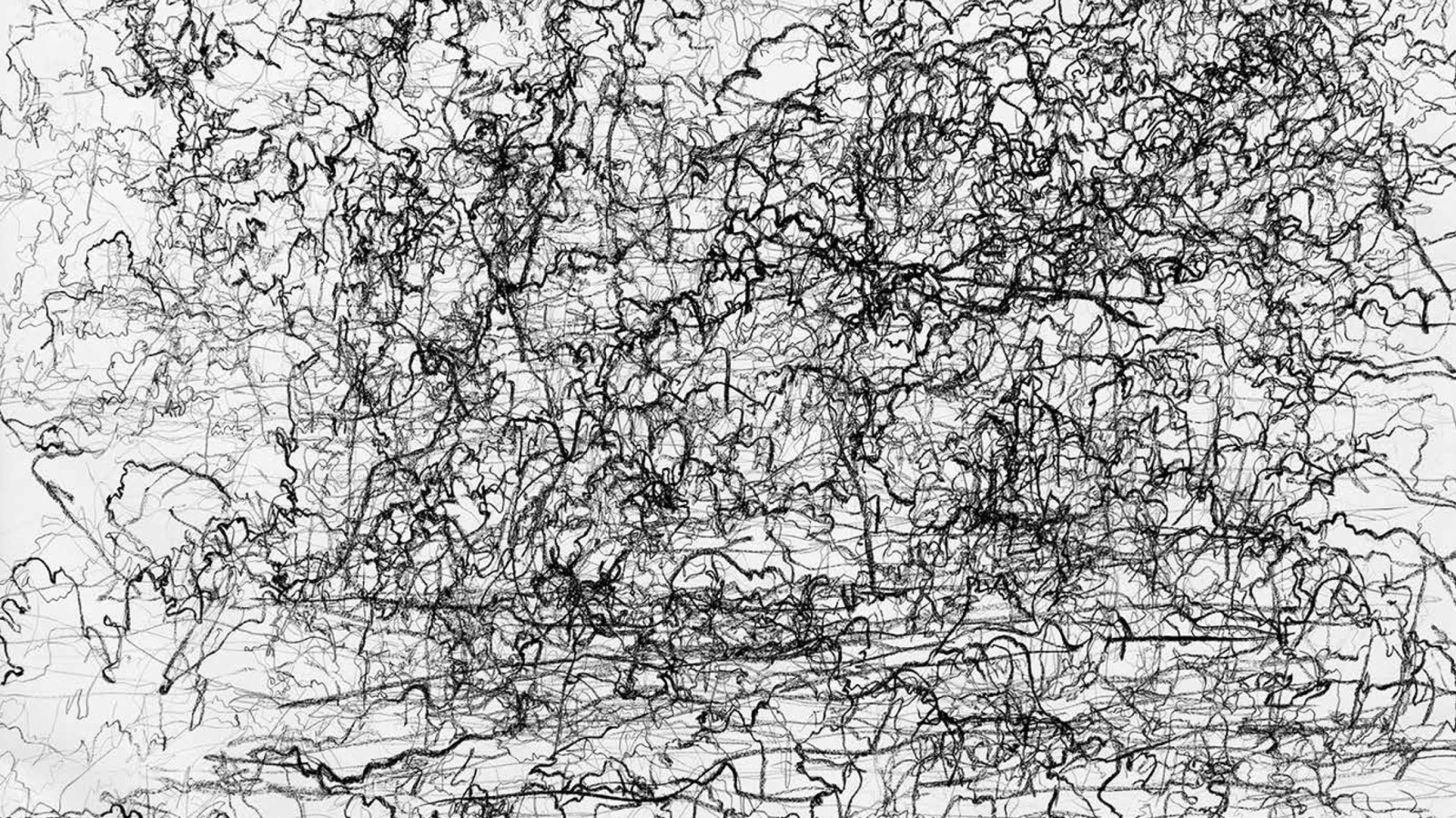 Gerhard Lang. The process of seeing the clouds, 22 July 2020