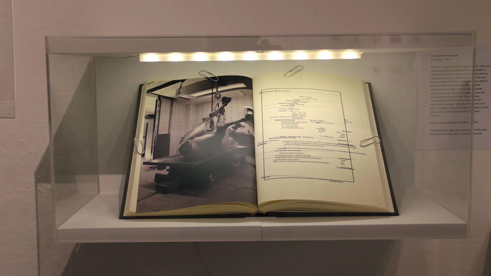 “Essence12”, Moritz Resl: “Excerpt from Polytrauma”, 2012