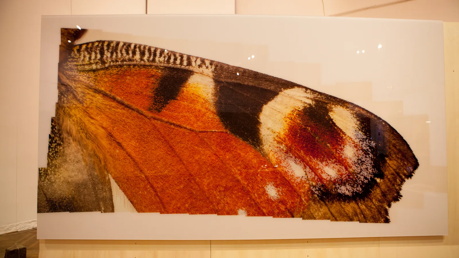 “Essence13”, Michael Bachhofer: “The Pattern which connects”, 2013. Photo: Iulian Moise