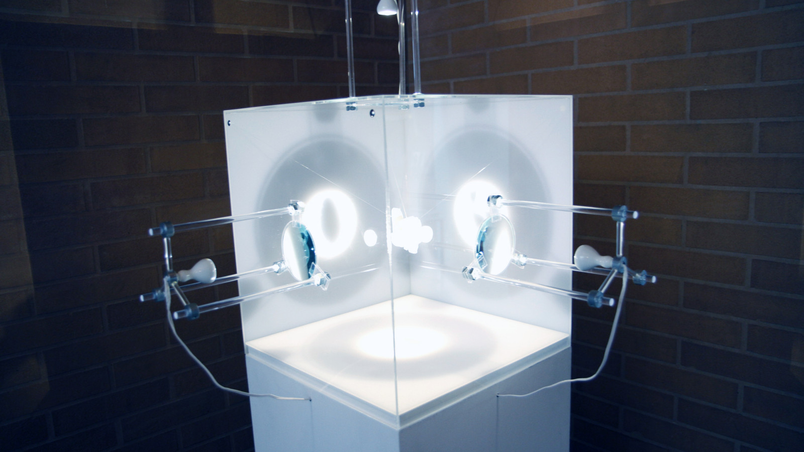 Sara Duit “Projections”, “Things that talk”, Museum of Natural History Vienna, 2011.