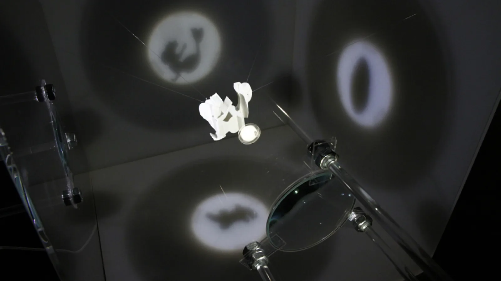 Sara Duit “Projections”, “Things that talk”, Museum of Natural History Vienna, 2011. Photo: Sabina Teichert
