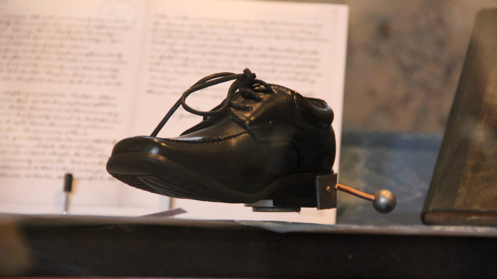 Michael Bachhofer: “Better small than tall - Dwarf elephants, Nikola Tesla and the rest of the world”, “Things that talk”, Museum of Natural History Vienna, 2011. Photo: Virgil Widrich