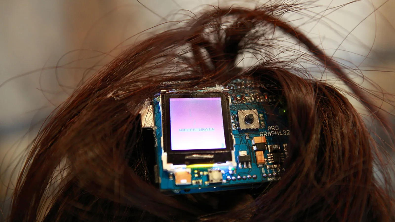Michal Marencik: “Albumine rex”, “Things that talk”, Museum of Natural History Vienna, 2011. Photo: Iulian Moise