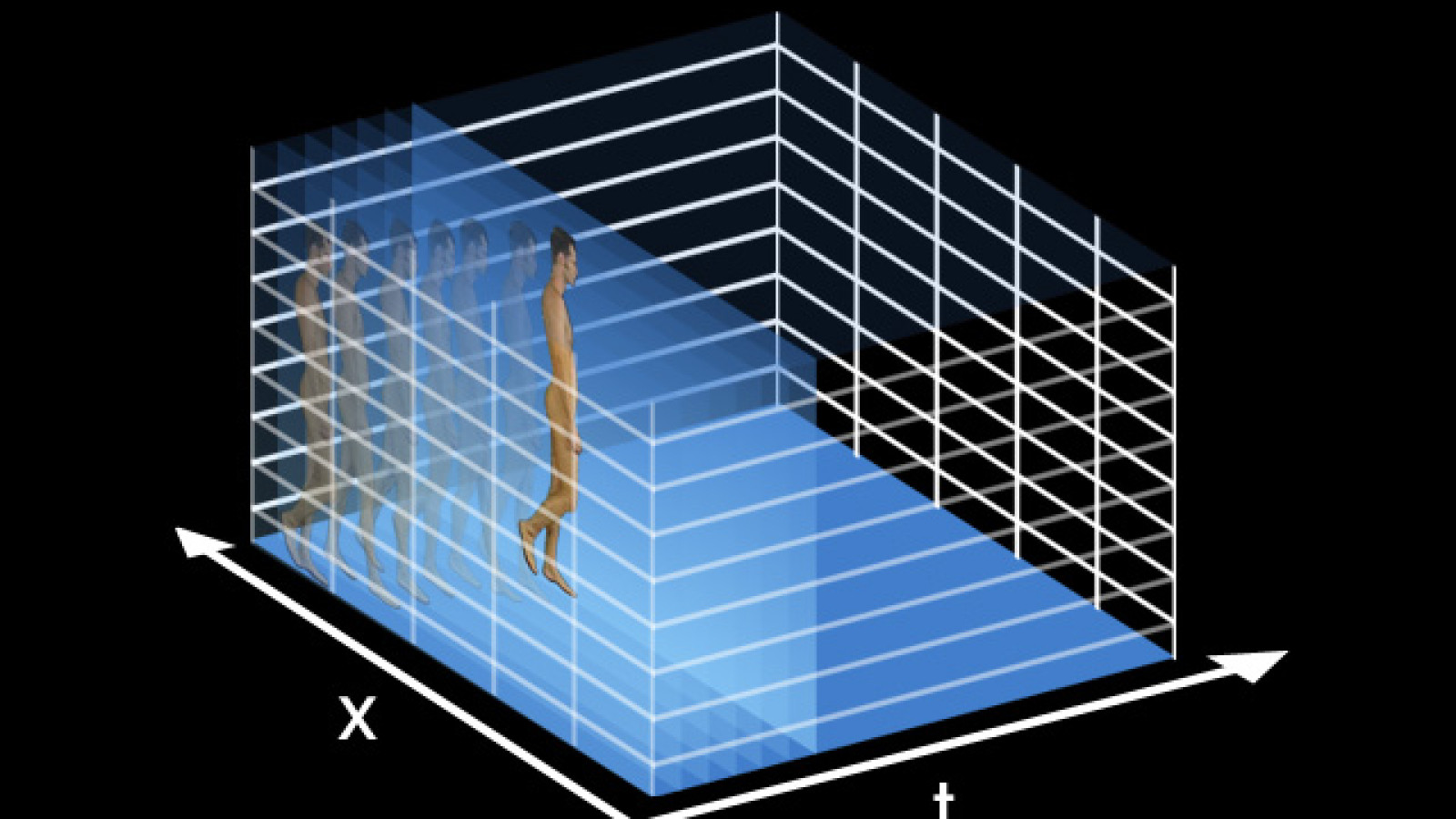 tx-transform: scheme normal curse, 1998