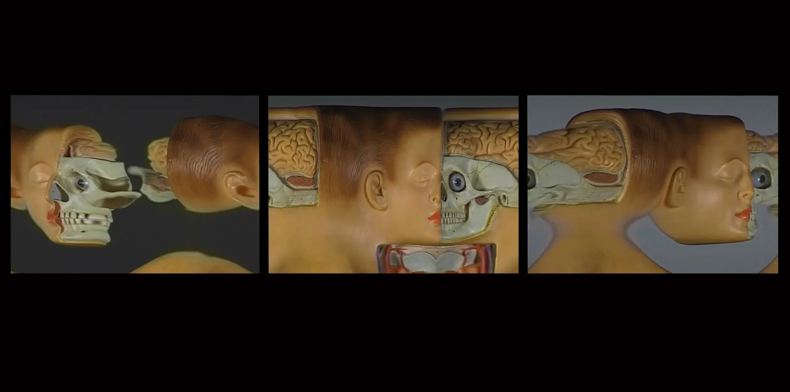 tx-transformation of a head, 1998